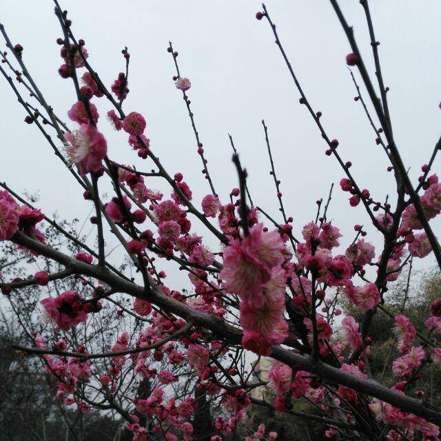 好人一生平安1298