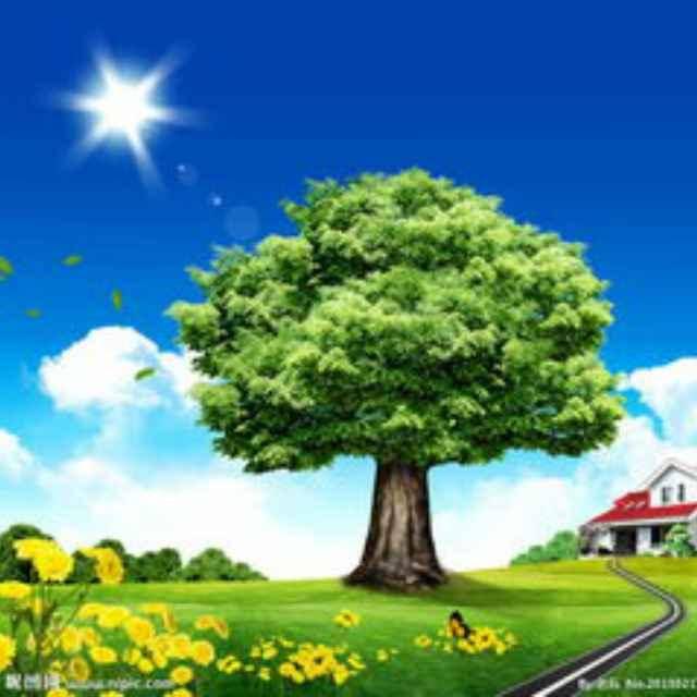 铿锵玫瑰