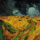 多情的黑框眼镜