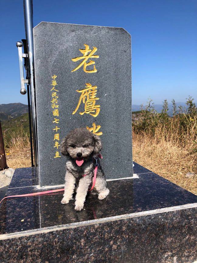 坚持到底！！！！