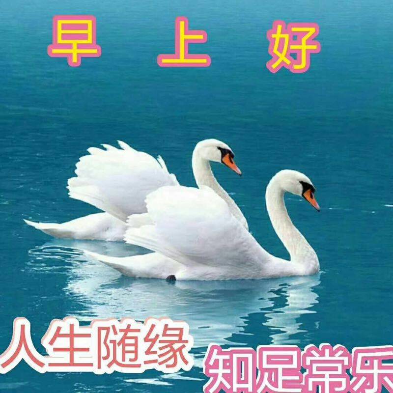 善待自己9