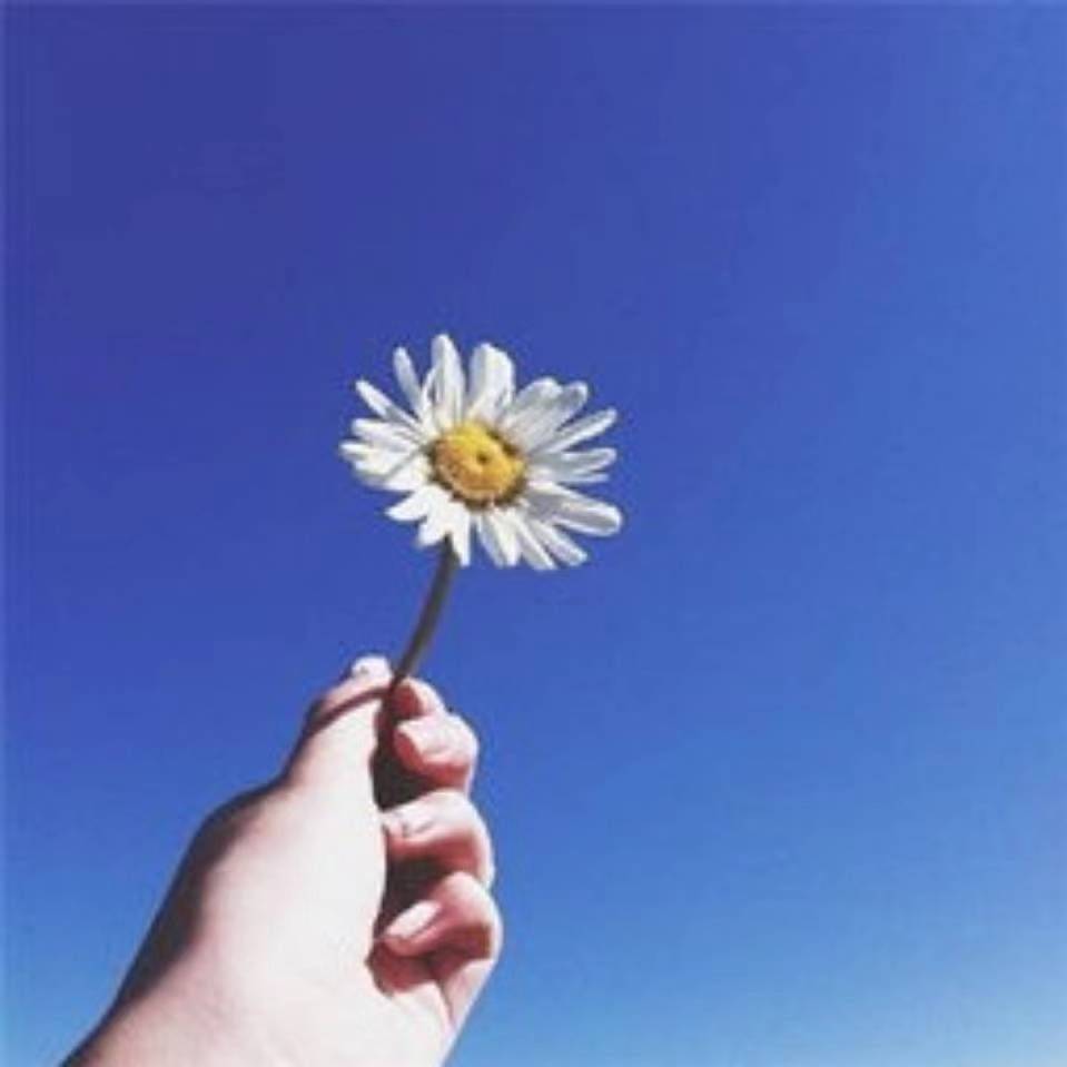 口天—淡然守望