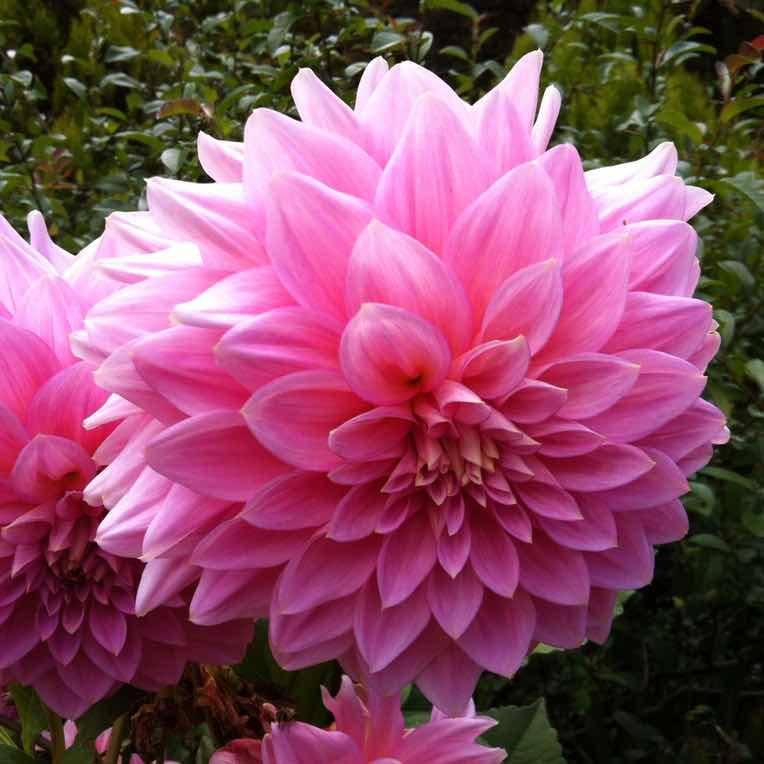 沈健［静休中］