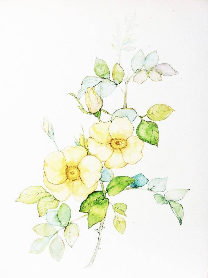 最是那一低头的反光