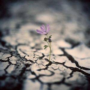 除了坚强别无选择