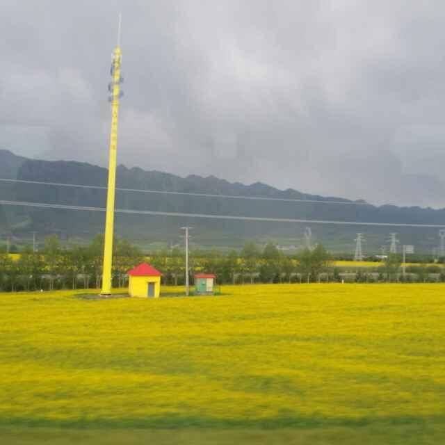 万里挑一的天使