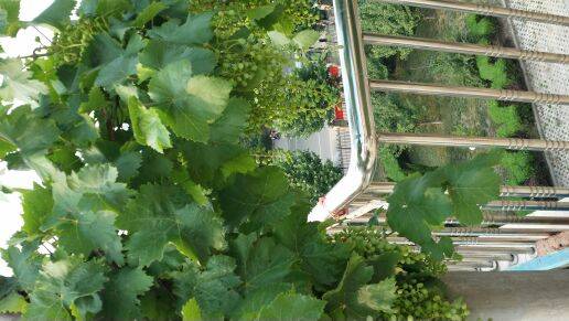 明天会更好！加油！