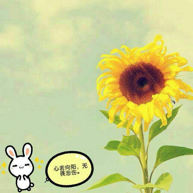 头像