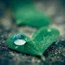 朱建国（兰州华谊汽车服务）