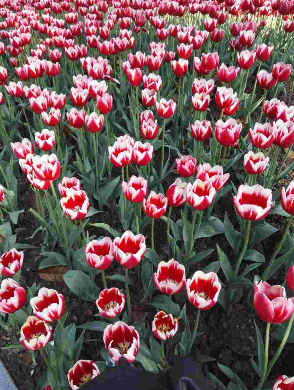 多爱一些自个儿