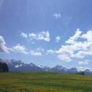 24度产业研究院文海斌