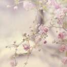 润德教育杜雯清+ 中1，2