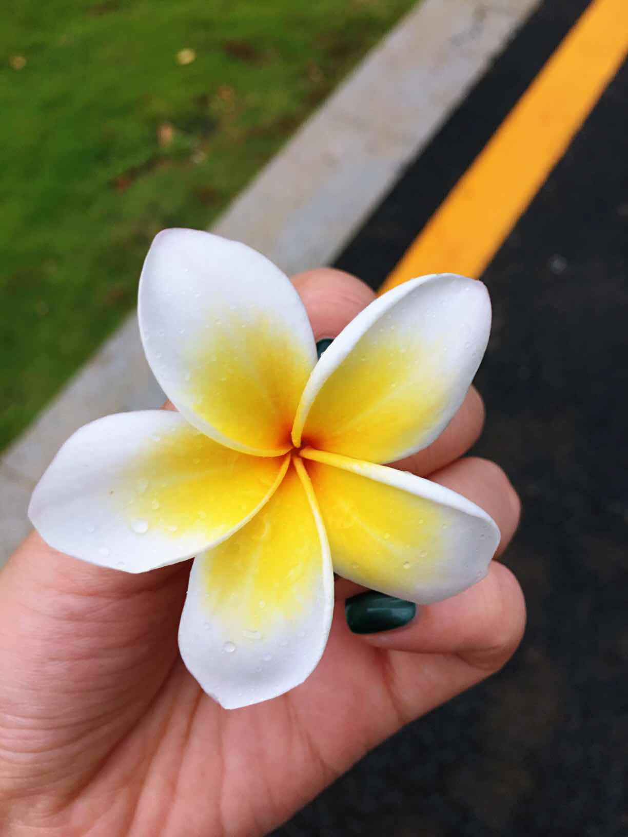 爸爸加油你最棒