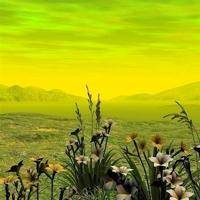 wx_5097126468