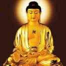 南无阿弥陀佛3228