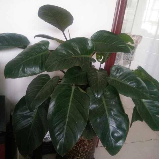 富德生命人寿蒋彬清138****3008