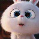 青面獠牙的小甜甜