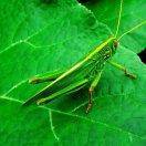 骑～行～天～地～间