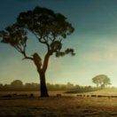 生如夏花之绚烂