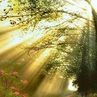 wx_2319115847