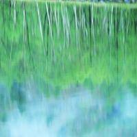 wx_8846494184