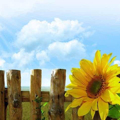 泰和讲堂小助手