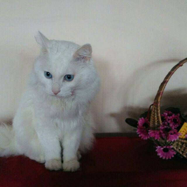 面朝大海春暖花开7138