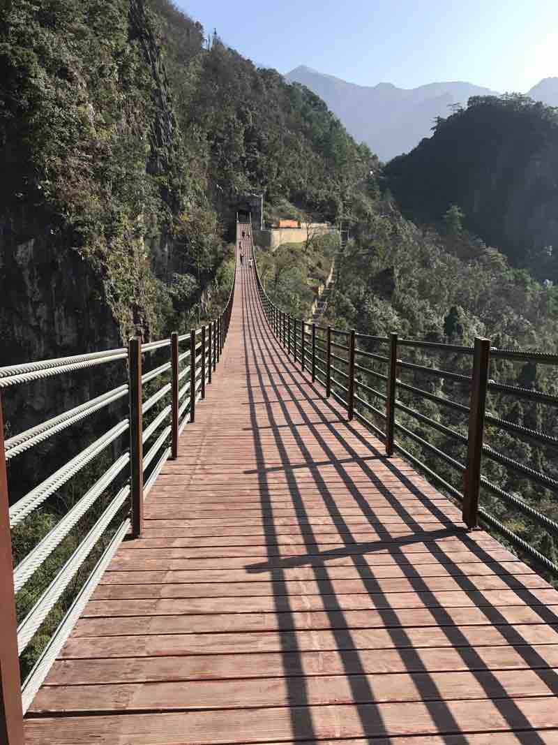 向日葵一样的存在