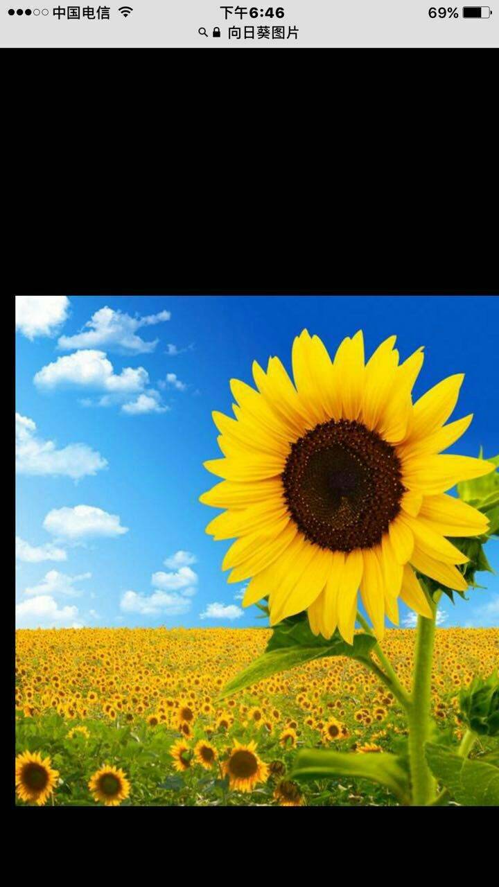 贾庄子卫生所孙大夫1