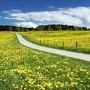 期待美好的未来，