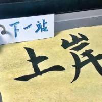 快乐的大脸猫吖