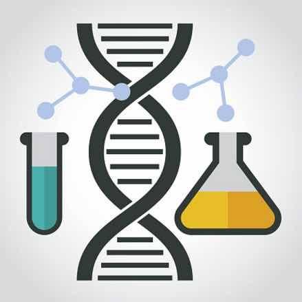 感恩生活每一天