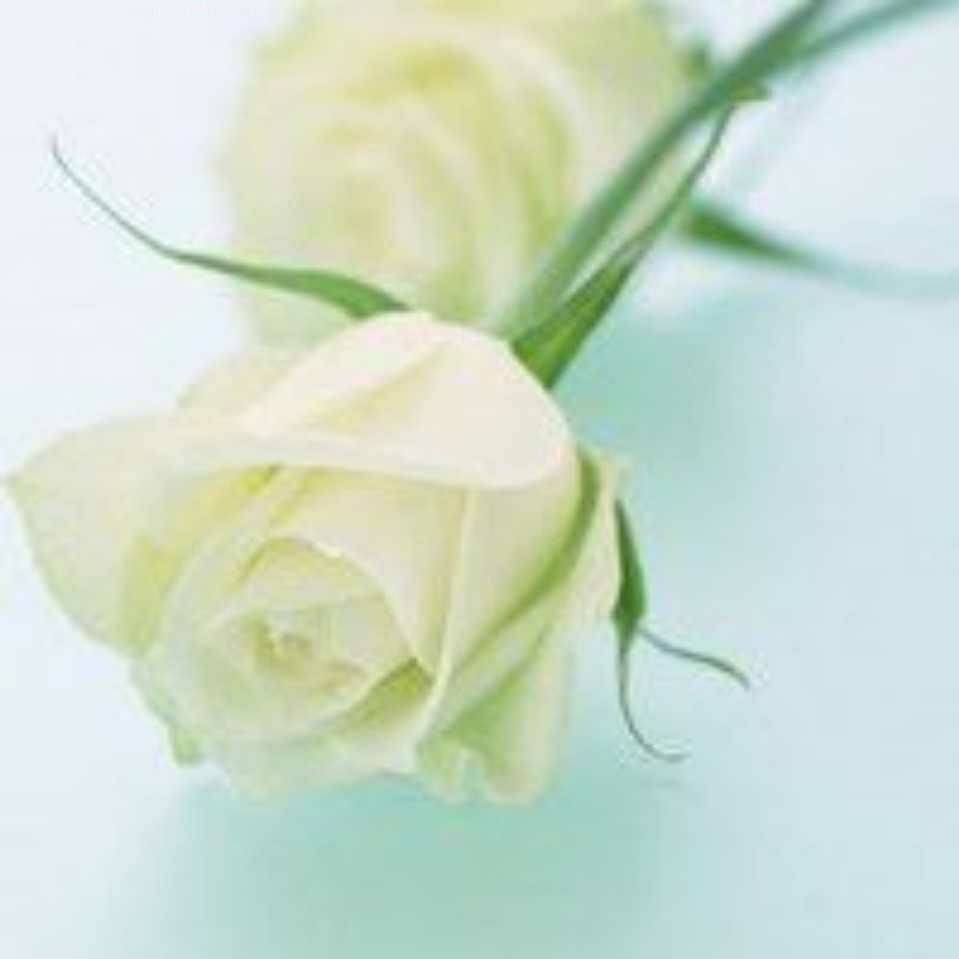 阿依莎·洋艳63.9-16.10