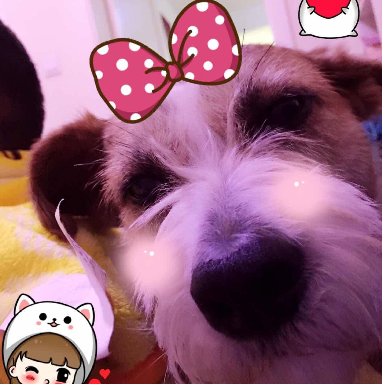 滴答(๑•̀ㅂ•́)و