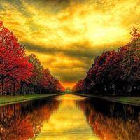 wx_2684331468