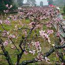 陶金平139****5513