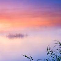 wx_6691445345