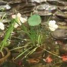 觅友_T232L92262002