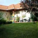 （狮子头）娟姐