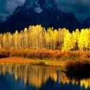 活着的理想就是理想的活着