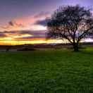 清清子吟，依依所兮