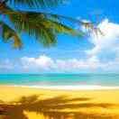 ［有人@我］中国人