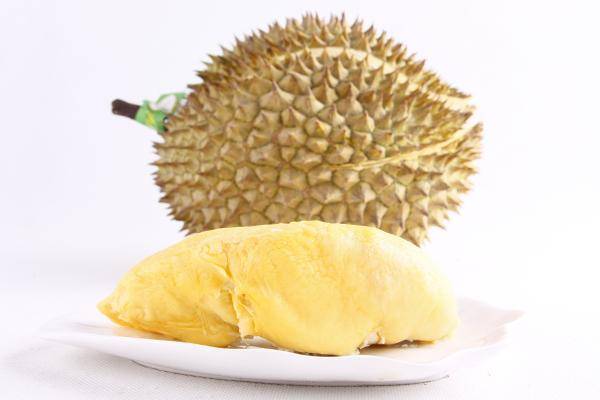 如果仙人掌没有刺