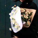 标致的热带鱼8363