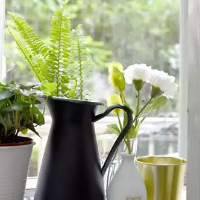 活在当下的灵魂