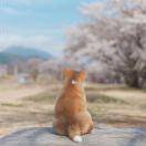 对方正在输入...9142