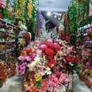 光彩花店刘海燕