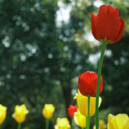 、爱情是一场阴谋丶