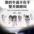 罗氏董兆朋贝伐