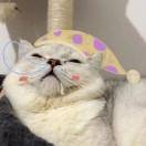 虚心的羽毛球7188